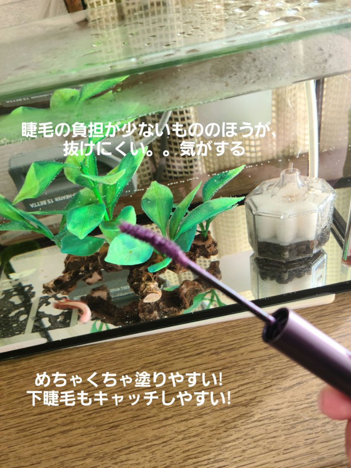 ラスティング カールマスカラ  52 アッシュヴァイオレット/KiSS/マスカラを使ったクチコミ（3枚目）