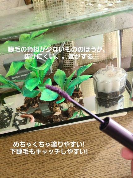 ラスティング カールマスカラ /KiSS/マスカラを使ったクチコミ(3枚目)