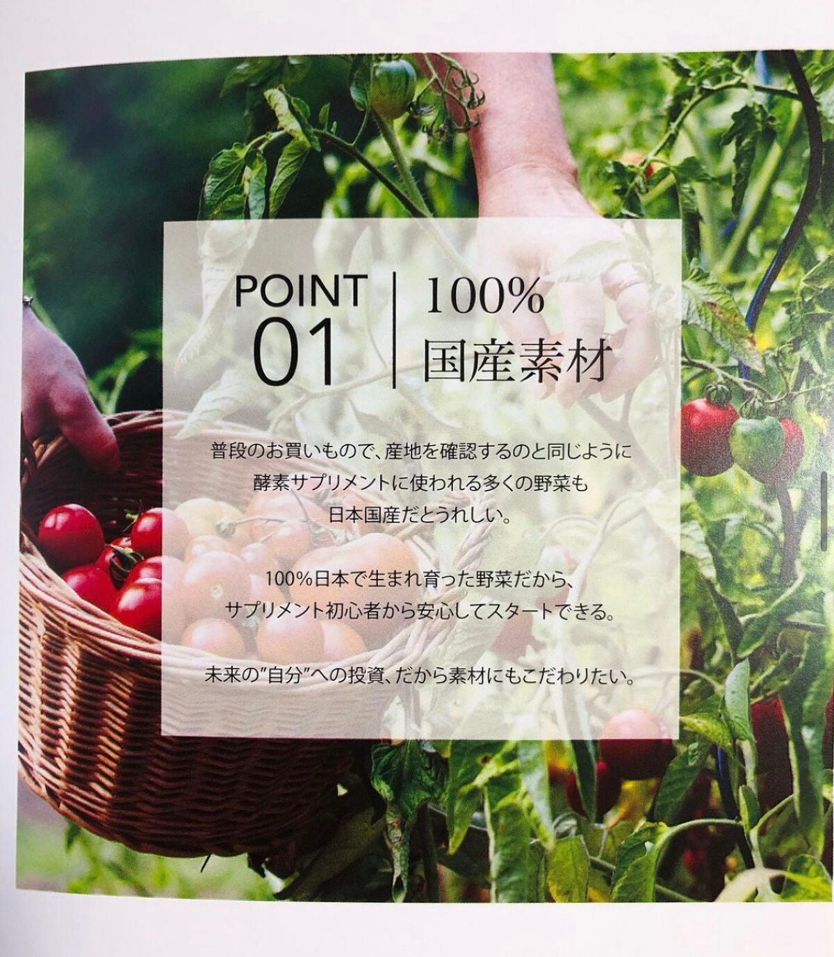 nagomi KOUSO 30粒/renaTerra/健康サプリメントを使ったクチコミ(4枚目)