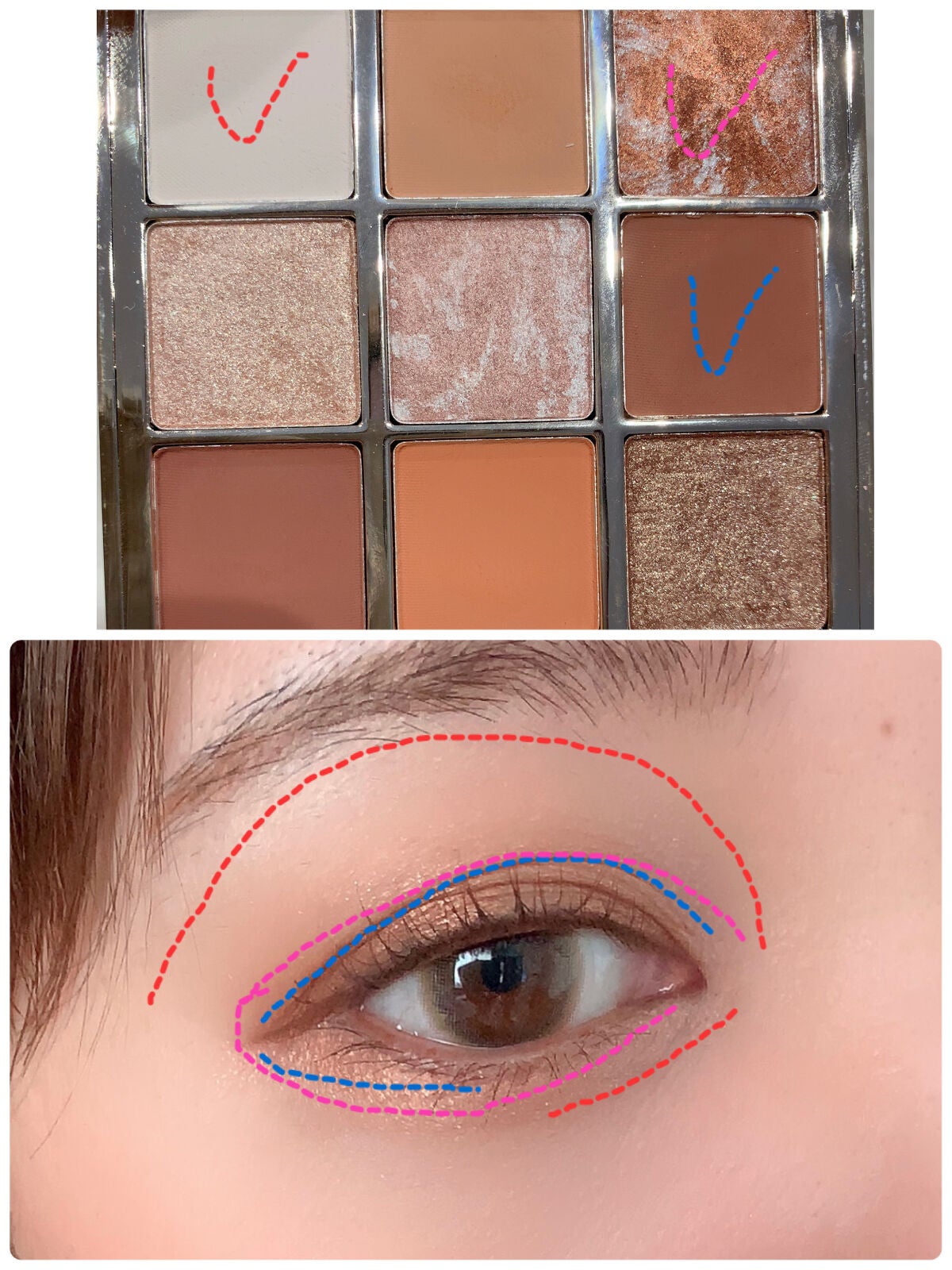 浮生大梦 9色アイシャドウパレット/CATKIN/アイシャドウパレットを使ったクチコミ(5枚目)