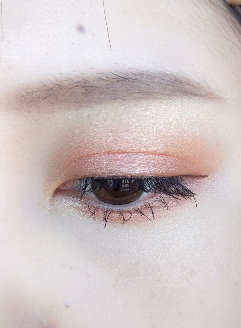 フェイス ＆ アイカラー CS/PAUL & JOE BEAUTE/アイシャドウパレットを使ったクチコミ（2枚目）