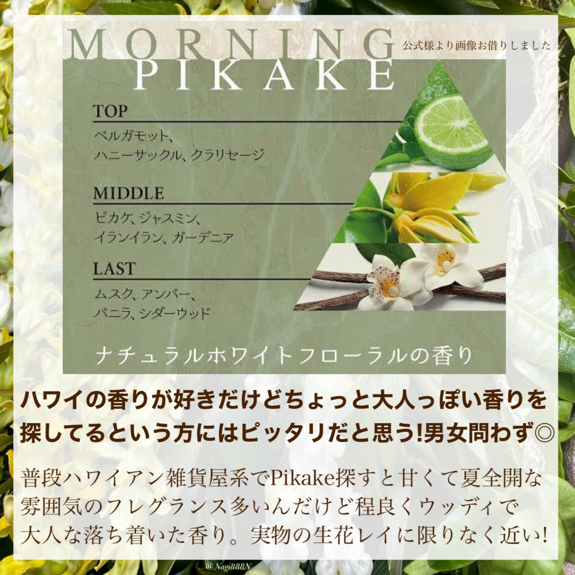 モーニングピカケオードトワレ/プア ナナラ/香水(レディース)を使ったクチコミ（3枚目）