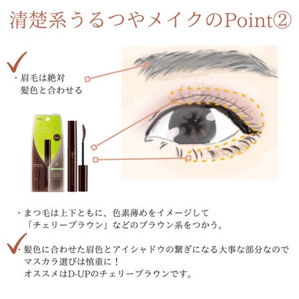 ノーズ&アイブロウパウダー/CEZANNE/パウダーアイブロウを使ったクチコミ(4枚目)