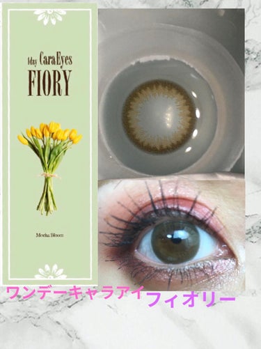 ワンデーキャラアイ カラーシリーズ/Cara Eyes/ワンデー（１DAY）カラコンを使ったクチコミ（1枚目）