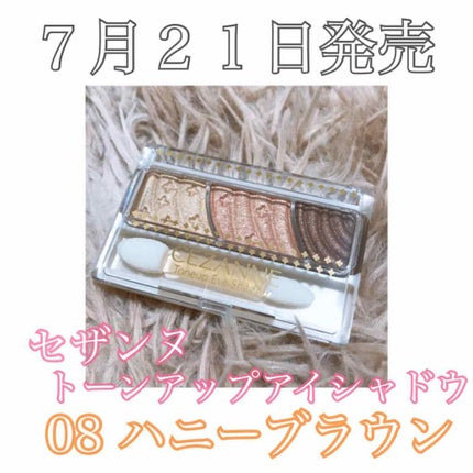 トーンアップアイシャドウ/CEZANNE/アイシャドウパレットを使ったクチコミ(1枚目)