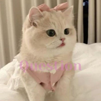 ã䜿ã£ãã¯ãã³ãïŒ1æç®ïŒ