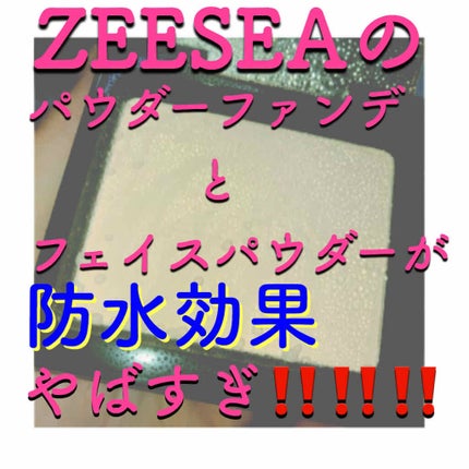 ZEESEA(ズーシー)大英博物館 エジプトシリーズ パウダーファンデーション/ZEESEA/パウダーファンデーションを使ったクチコミ(1枚目)
