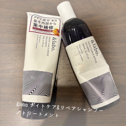 ライプ R3 アルガン ヘアオイル/RAIP/ヘアオイルを使ったクチコミ(6枚目)