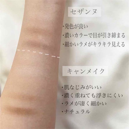 【旧品】パーフェクトスタイリストアイズ/キャンメイク/アイシャドウパレットを使ったクチコミ(2枚目)