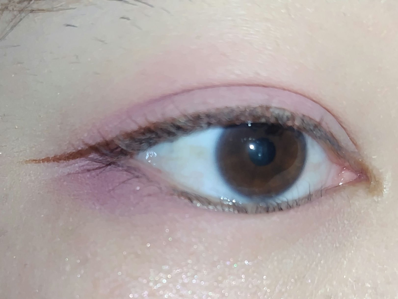 麻雀アイシャドウ/和粧/単色アイシャドウを使ったクチコミ（2枚目）