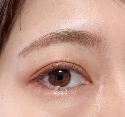 ロングステイ アイブロウパウダー&ペンシル/ブリリアージュ/アイブロウペンシルを使ったクチコミ(5枚目)