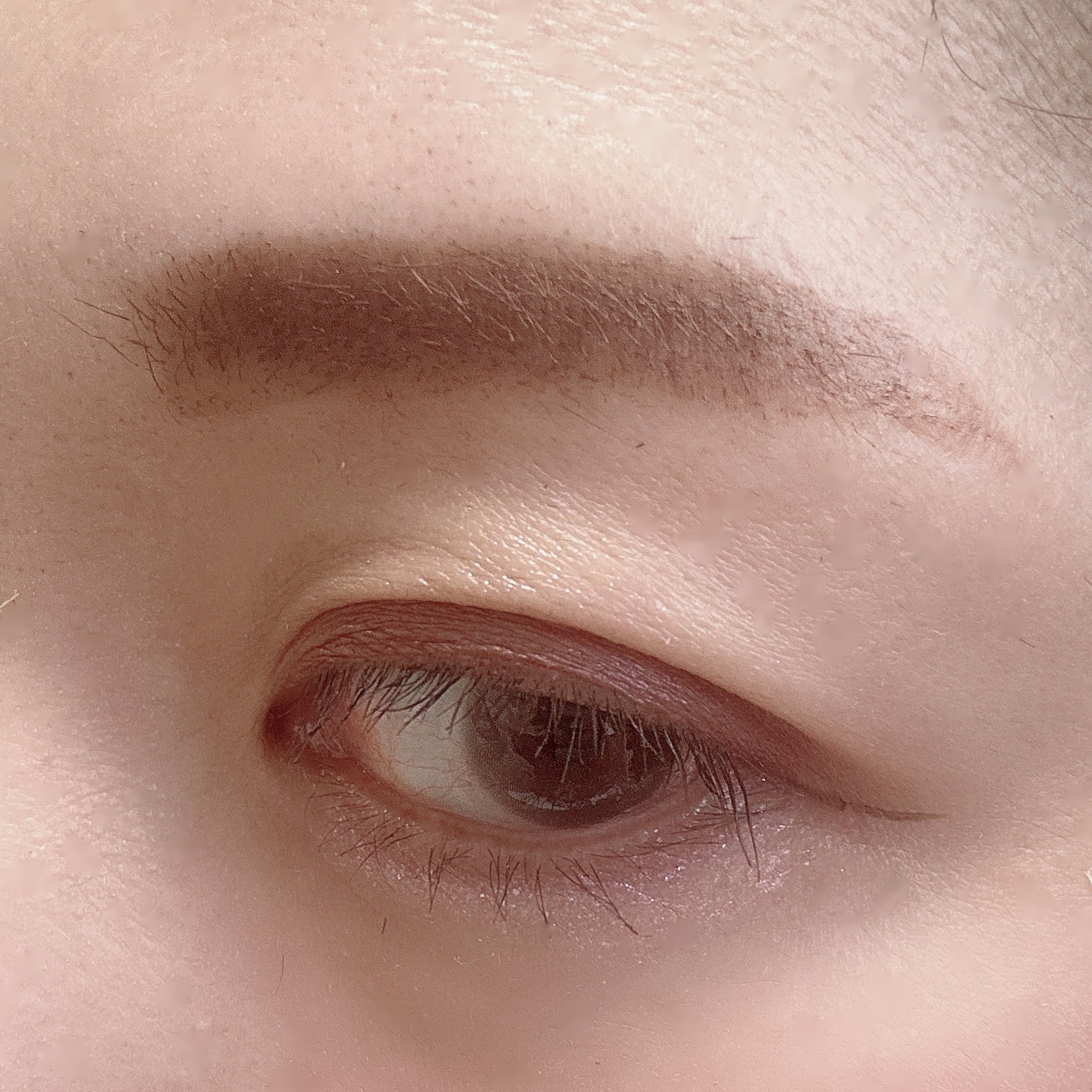 3DアイブロウカラーN/KATE/眉マスカラを使ったクチコミ（3枚目）