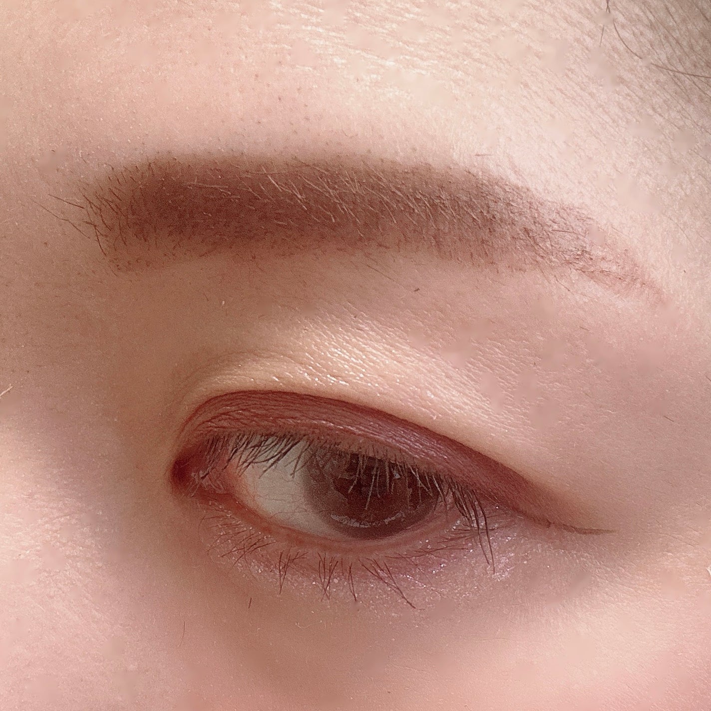 3DアイブロウカラーN/KATE/眉マスカラを使ったクチコミ(3枚目)