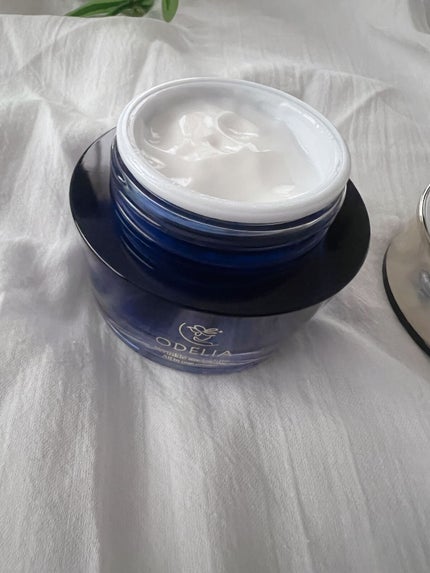 リンクル&ホワイト オールインワンクリーム/ODELIA/オールインワン化粧品を使ったクチコミ(2枚目)