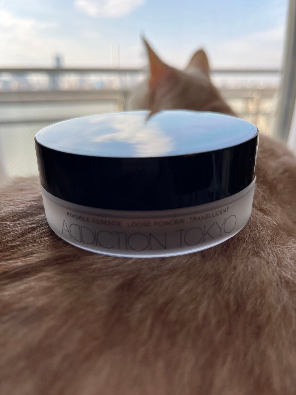 インビジブル エッセンス ルースパウダー トランスルーセント /ADDICTION/ルースパウダーを使ったクチコミ(3枚目)