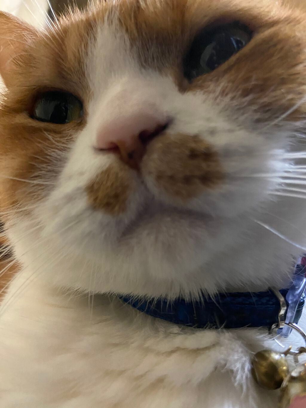 アイ カラー クォード C /TOM FORD BEAUTY/アイシャドウパレットを使ったクチコミ(3枚目)