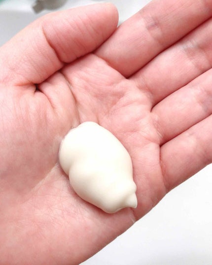 ブラン クレンジング クリーム/IGNIS/クレンジングクリームを使ったクチコミ(2枚目)