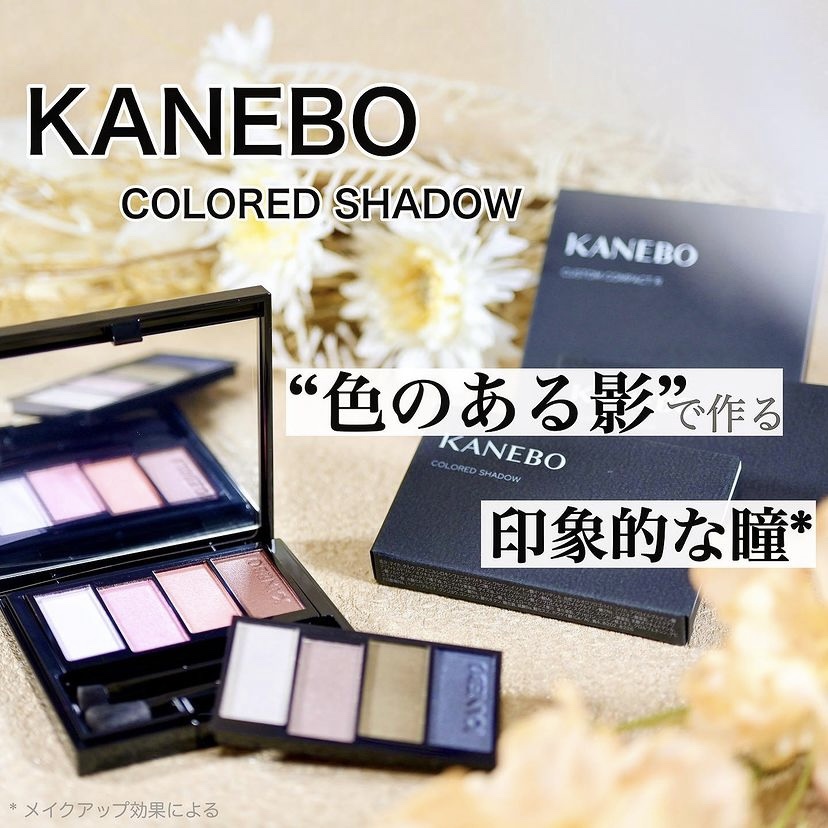 カラードシャドウ 02 Epic Frontier/KANEBO/アイシャドウパレットを使ったクチコミ（1枚目）