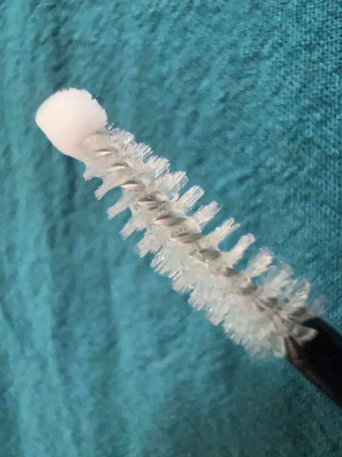 プロCICA フォーカシングアイラッシュセラム/VT/まつげ美容液を使ったクチコミ(5枚目)