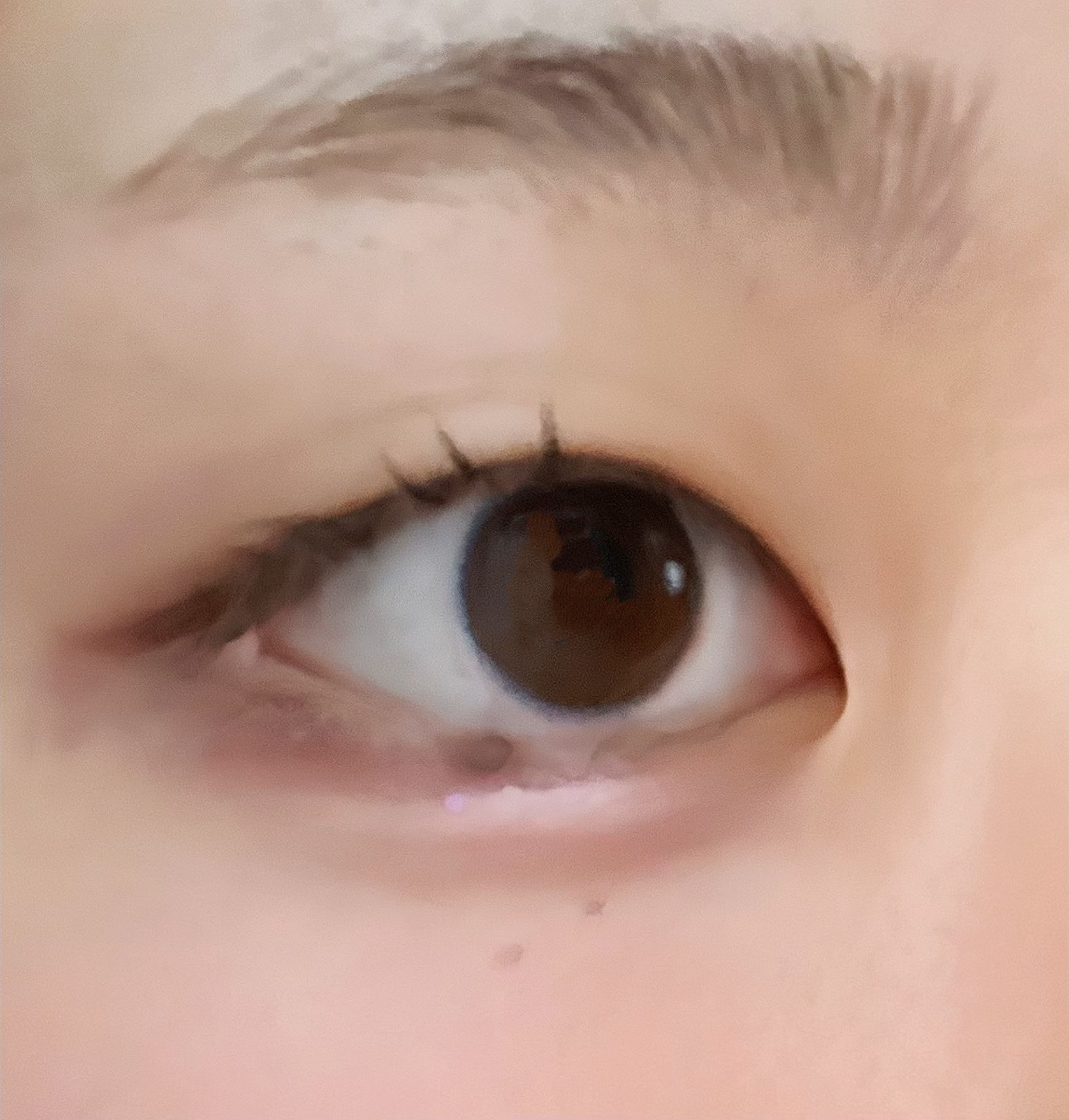 プティパレットアイズ/キャンメイク/パウダーアイシャドウを使ったクチコミ（2枚目）