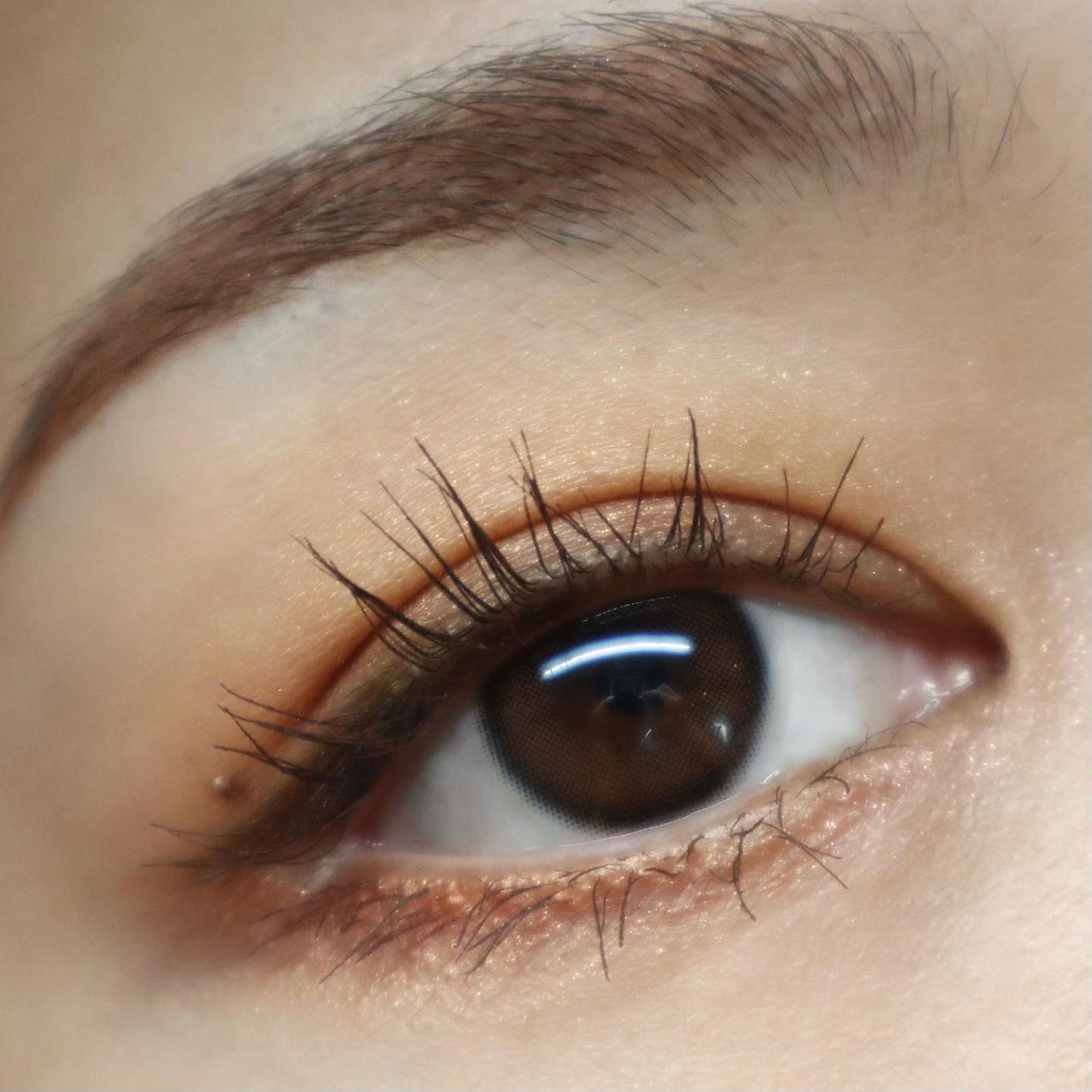 シグニチャー カラー アイズ/SUQQU/アイシャドウパレットを使ったクチコミ(7枚目)