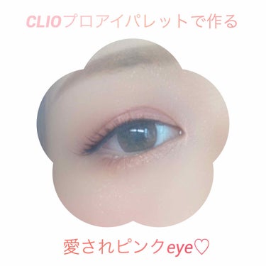 プロ アイ パレット/CLIO/パウダーアイシャドウを使ったクチコミ（1枚目）