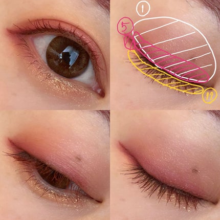 エクスプローラ12色 動物アイシャドウパレット/PERFECT DIARY/アイシャドウパレットを使ったクチコミ(3枚目)