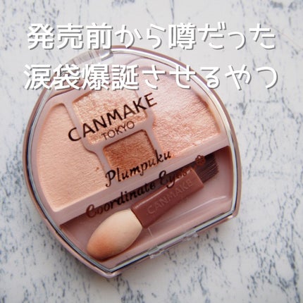 プランぷくコーデアイズ/キャンメイク/パウダーアイシャドウを使ったクチコミ(1枚目)
