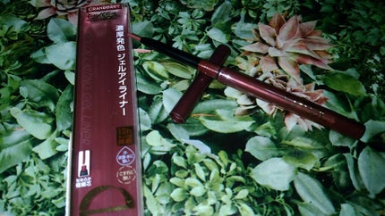 カラーラスティング ジェルライナー/excel/ジェルアイライナーを使ったクチコミ(1枚目)