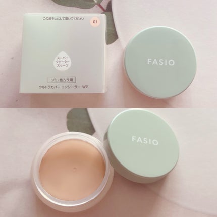 エアリーステイ BB ティント UV/FASIO/BBクリームを使ったクチコミ(5枚目)