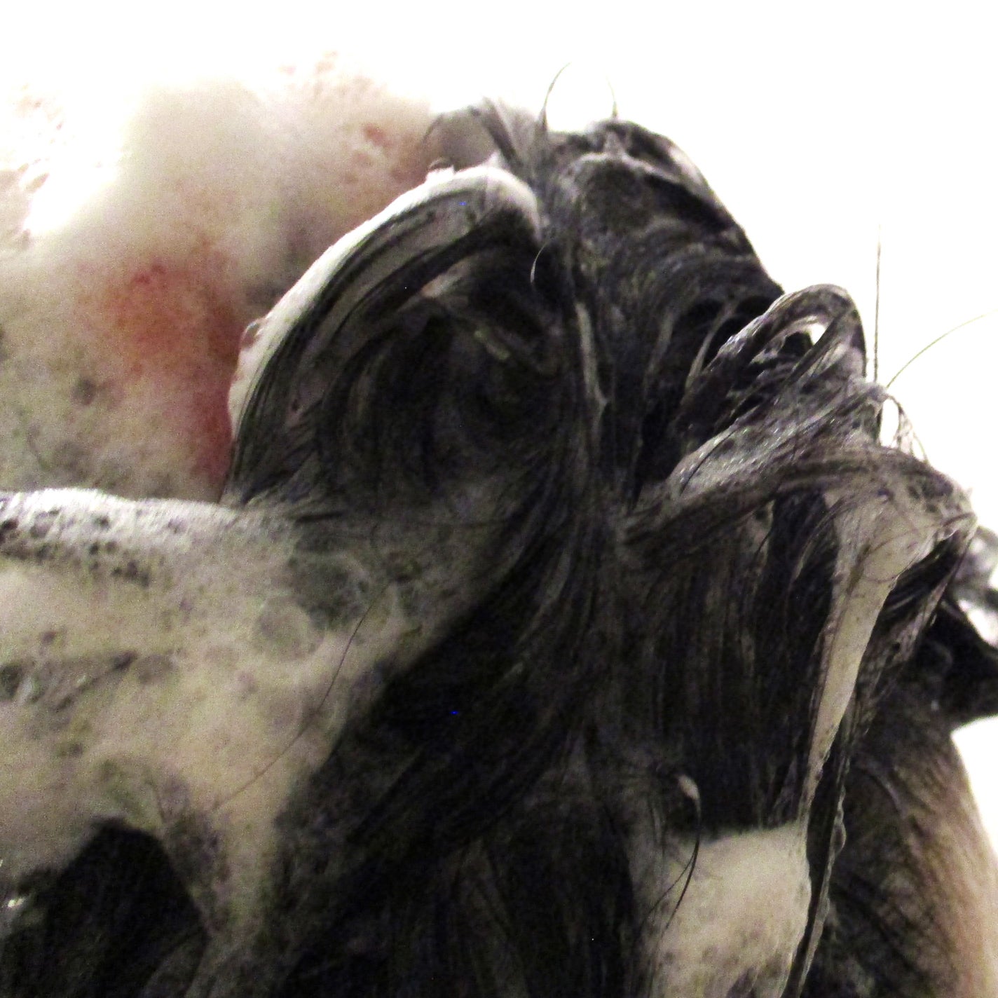 DIAMOND SHINE シャンプー/ヘアトリートメント/&Prism/市販シャンプーを使ったクチコミ(5枚目)