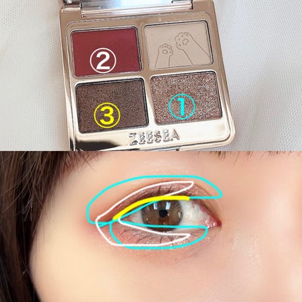 アニマルアイシャドウ(4シェード)/ZEESEA/アイシャドウパレットを使ったクチコミ(2枚目)