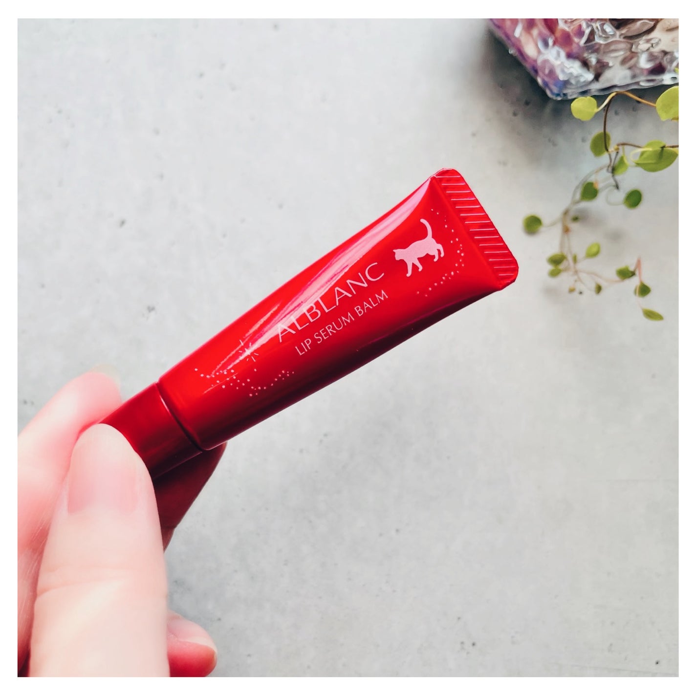 ハンド&リップ セラム セット/ALBLANC/その他キットセットを使ったクチコミ(6枚目)