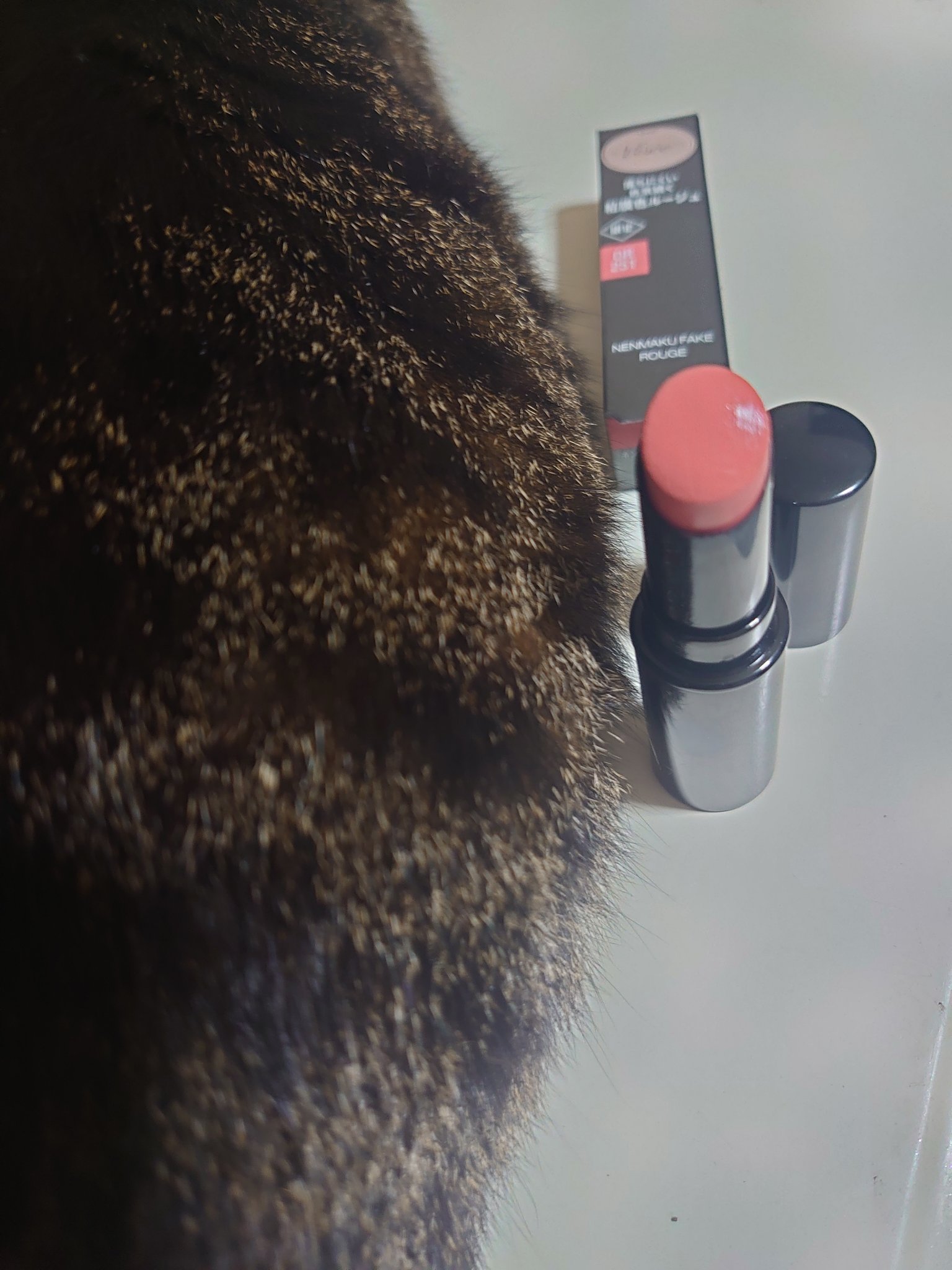 ネンマクフェイク ルージュ/Visée/口紅を使ったクチコミ（1枚目）