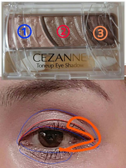 トーンアップアイシャドウ/CEZANNE/アイシャドウパレットを使ったクチコミ(3枚目)
