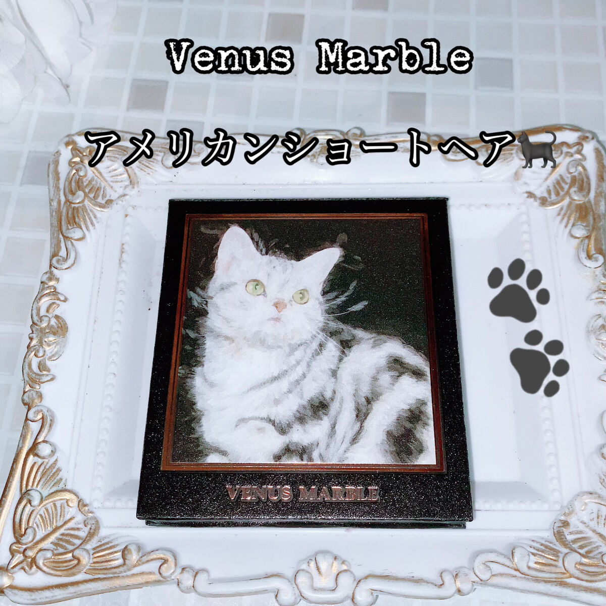 Venus Marble アイシャドウキャットシリーズ アメリカンショートヘア/Venus Marble/アイシャドウパレットを使ったクチコミ（1枚目）