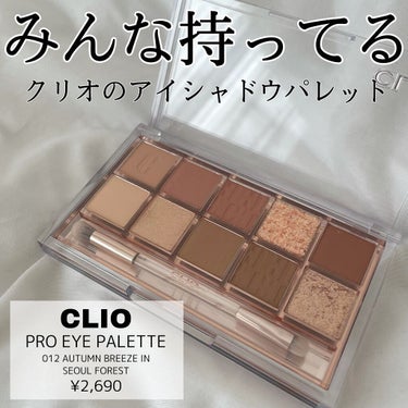 プロ アイ パレット/CLIO/アイシャドウパレットを使ったクチコミ（1枚目）