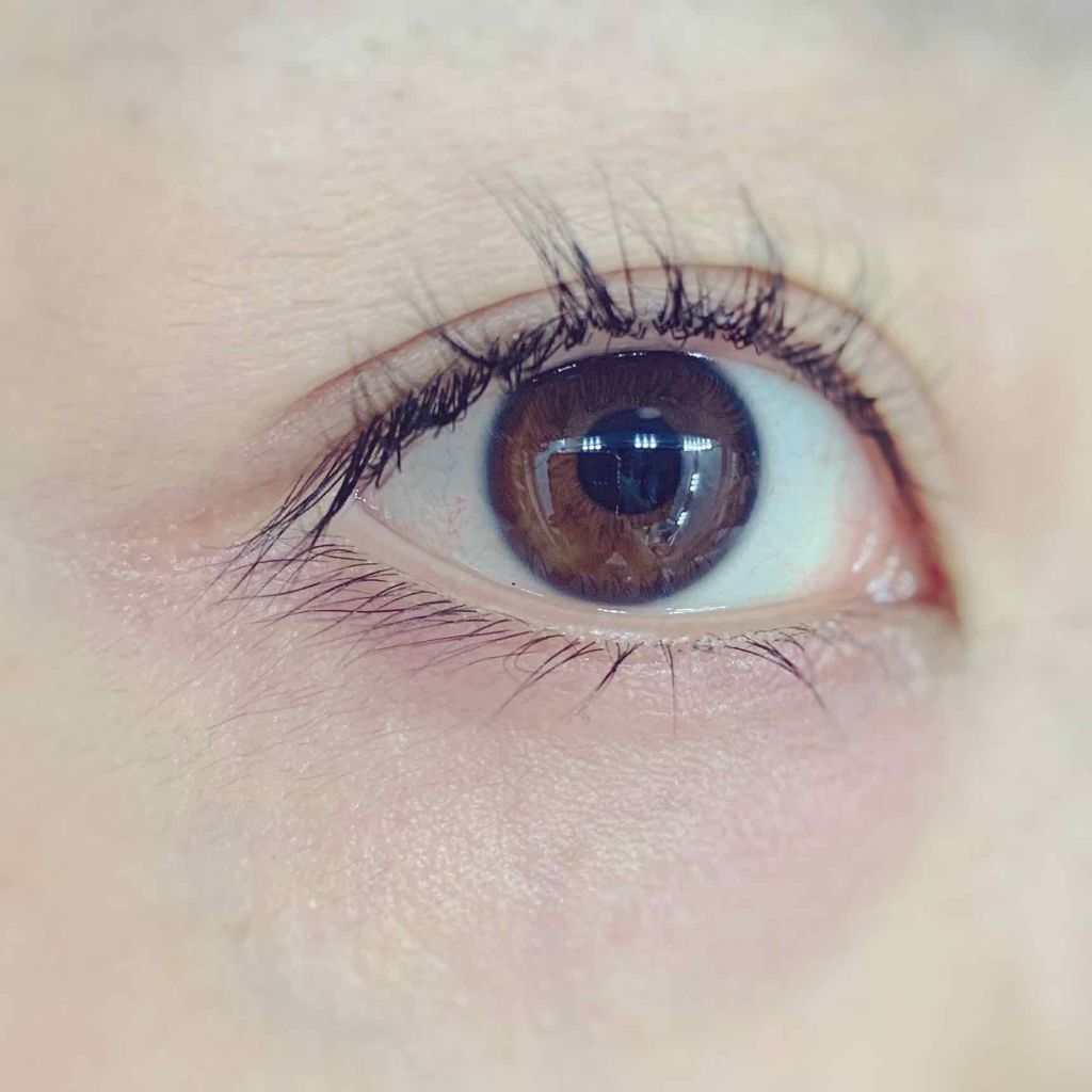 電動ホットビューラー/DAISO/ホットビューラーを使ったクチコミ（3枚目）