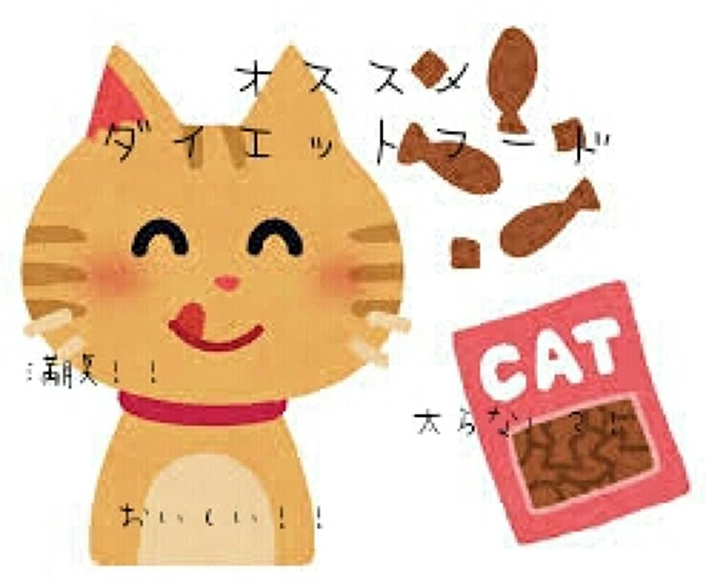 ねこ村 on LIPS 「〔オススメ ダイエットフード〕今回は、私がダイエット中に食べて..」(1枚目)