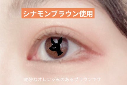 エアクリームペンシル /D-UP/ペンシルアイライナーを使ったクチコミ(5枚目)