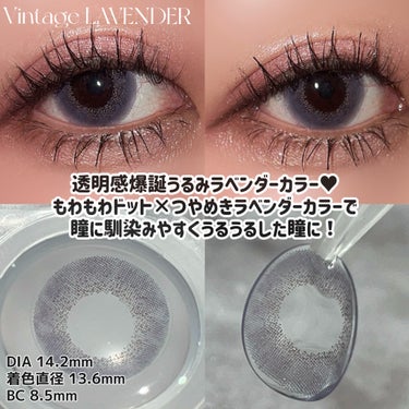 Angelcolor Bambi Series Vintage 1day ヴィンテージラベンダー/AngelColor/ワンデー（１DAY）カラコンを使ったクチコミ（2枚目）