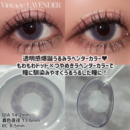 Angelcolor Bambi Series Vintage 1day ヴィンテージラベンダー/AngelColor/ワンデー(1DAY)カラコンを使ったクチコミ(2枚目)