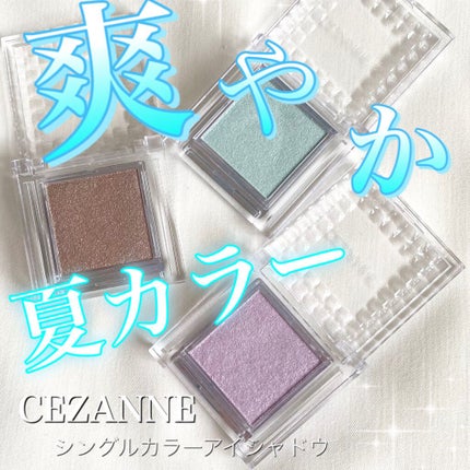 シングルカラーアイシャドウ/CEZANNE/単色アイシャドウを使ったクチコミ(1枚目)