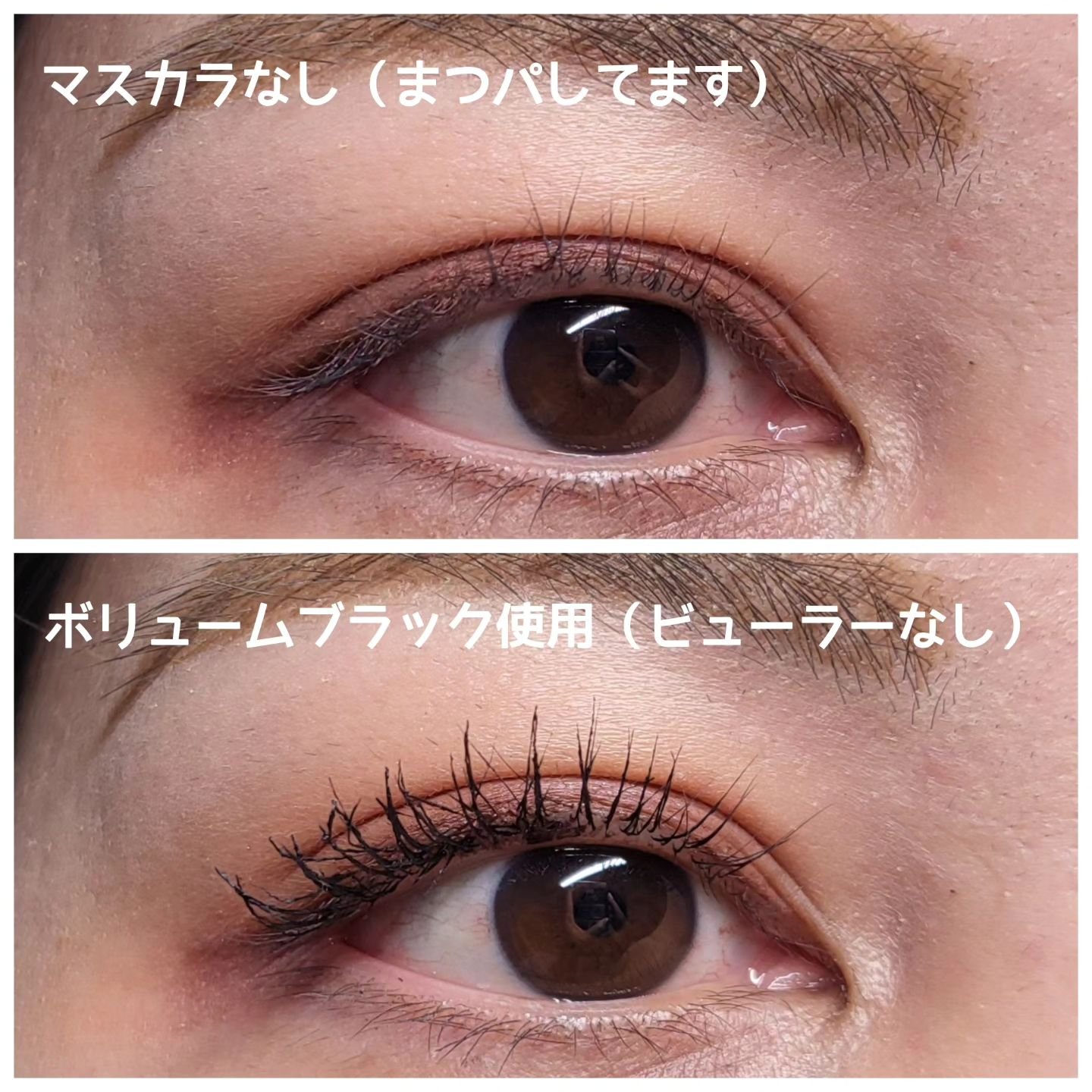 カールフィックスマスカラ ボリュームブラック/ETUDE/マスカラを使ったクチコミ（2枚目）