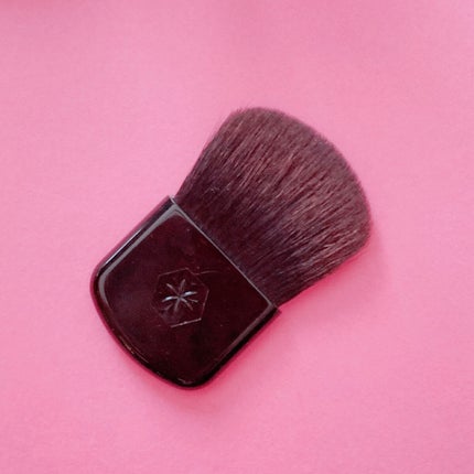 AQ ブラッシュ/DECORTÉ/パウダーチークを使ったクチコミ(5枚目)