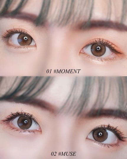 ニューアテンプトシャドウパレット/SISTER ANN/アイシャドウパレットを使ったクチコミ(7枚目)