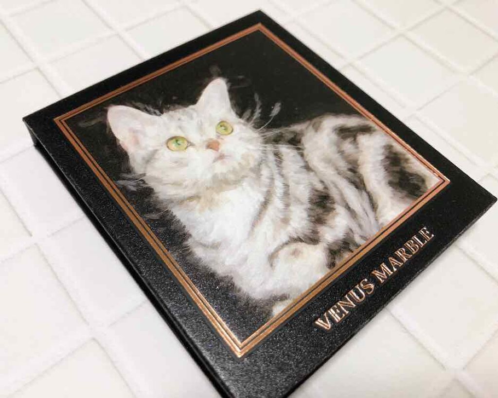 Venus Marble アイシャドウキャットシリーズ/Venus Marble/アイシャドウパレットを使ったクチコミ(2枚目)