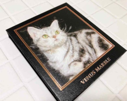 Venus Marble アイシャドウキャットシリーズ/Venus Marble/アイシャドウパレットを使ったクチコミ(2枚目)