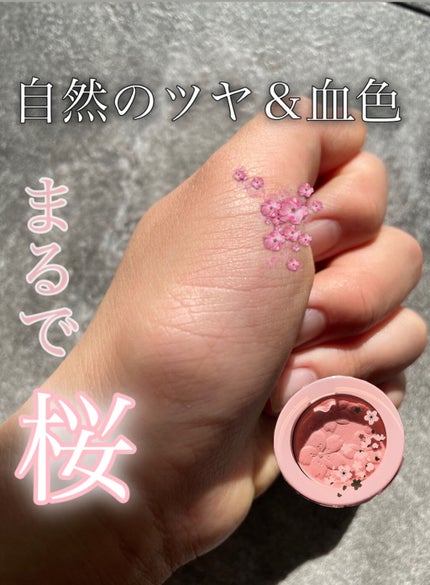 ピクニック ブロッサムチーク/ETUDE/パウダーチークを使ったクチコミ(1枚目)