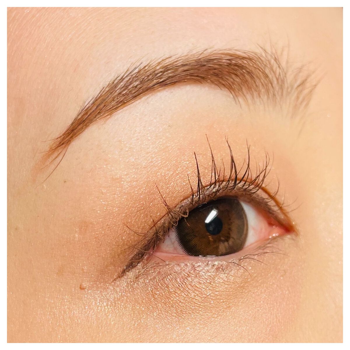 眉毛美容液/Dbe/まつげ美容液を使ったクチコミ(3枚目)